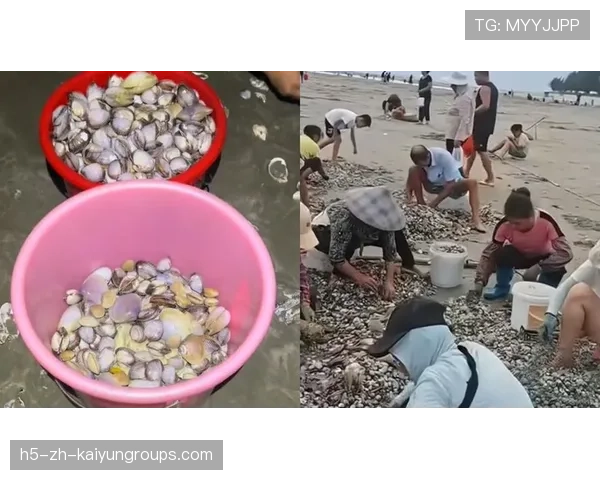 台风后赶海需谨慎，惠州提醒市民安全第一，台风过后海滩上有没有海鲜