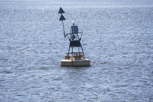 开云体育在线赛事直播-中方蝶泳入水角度更锐利？图解数据分析，中国蝶泳厉害吗