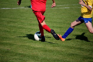 开云官方网站-仰泳大战美队领先毫厘之间，仰泳比赛视频欣赏